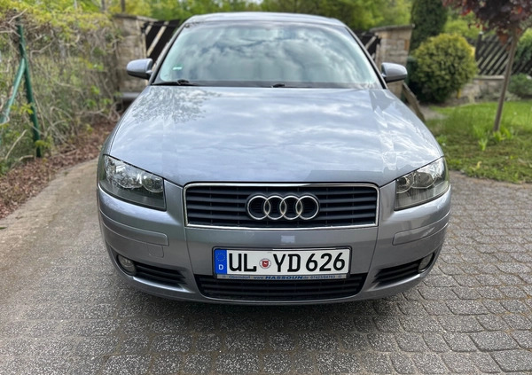 Audi A3 cena 11999 przebieg: 229000, rok produkcji 2003 z Starachowice małe 92